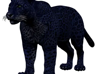 Black Panther Rigged 3D model