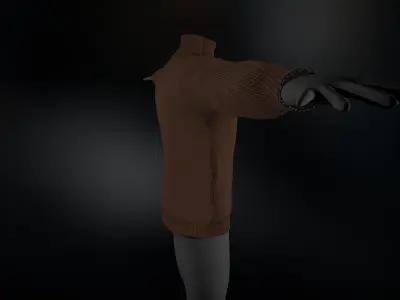 Brown Winter Turtleneck Low-poly 3D model