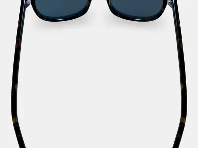 Durand Sunglasses in Whiskey Tortoise 3D model