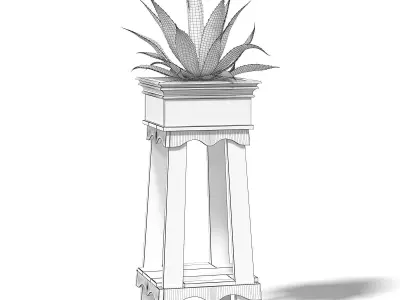 Aloe in Wooden Planter 3D Model 3D model
