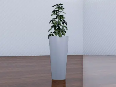 Schefflera Low-poly 3D model