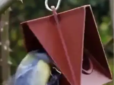 Bird feeder set 3D print model