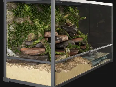Terrarium Agama 3D model