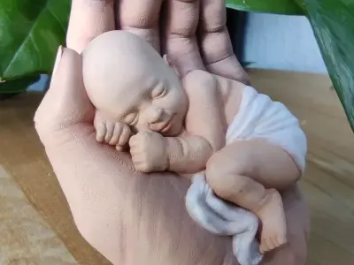 the baby is sleeping in the hand 3D print model
