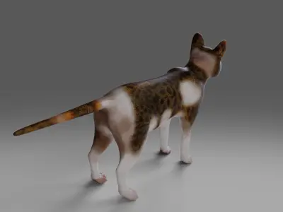 Calico Cat No Rigged V3 Low-poly 3D model