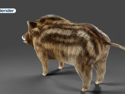 Fur Wild Boar NO Rigged in Blender  Low-poly 3D model