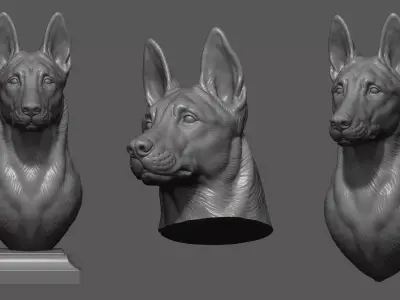 Belgian Shepherd Malinois  with a closed mouth 3D print model