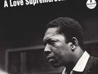 vinyl records  3D model