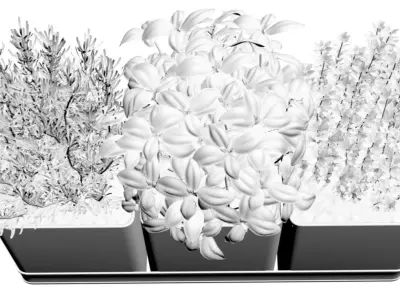 Flower pots with herbs 3D model