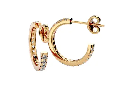 Women earrings model 3D print model