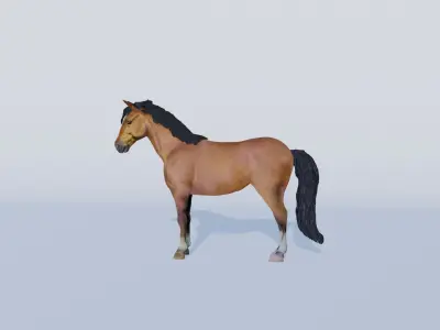 3D Model of a Brown Horse Low-poly 3D model