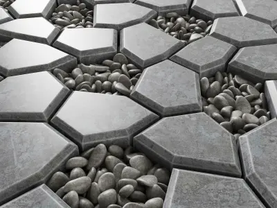 Paving Ngon pebble n2 3D model
