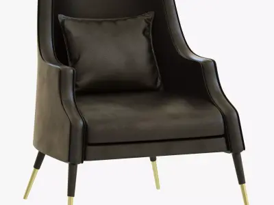 Delightfull ELIS ARMCHAIR 3D model