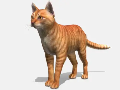 Cats - Simple Low-poly 3D model