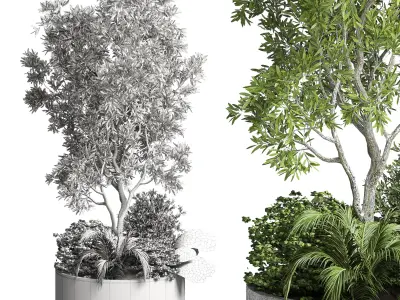 collection outdoor plant 27 garden pot concrete vase 3D model