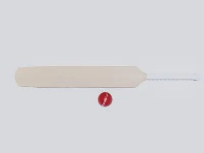 Cricket Bat and Ball 3D model