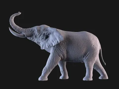 Elephant 3D print model shop