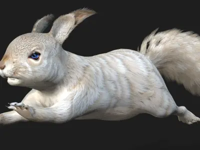 Squirrel-A2 3D model