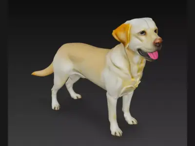 labrador Retriever Dog 3D Model 3D model