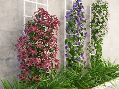Wall flowers Low-poly 3D model