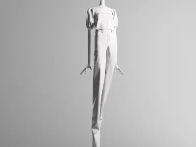 Zara Plumeti Embroided Top Manneqin 3D model