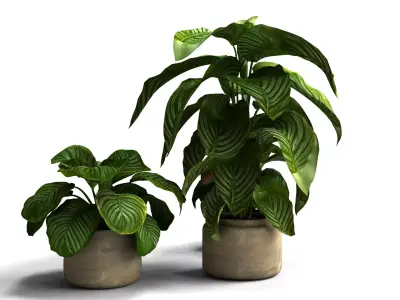 Decorative Flower Vase with Flowers Interior Decor 3D Model 3D model