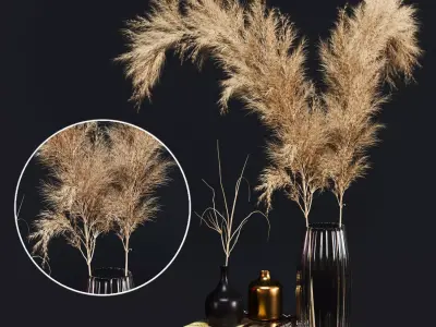 Decoration Set 02 pampas 3D model