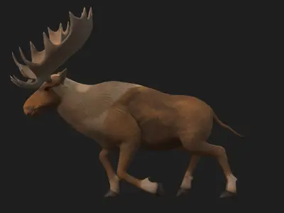 Moose-B2 3D model