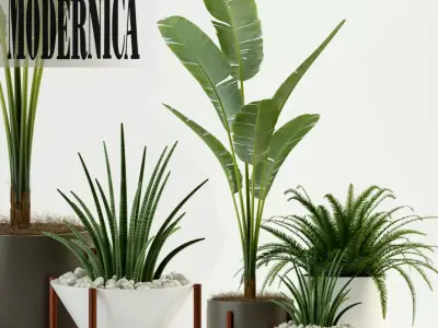 Plants collection 76 Modernica pots 3D model