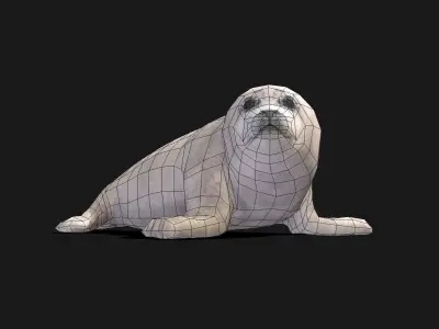 Baby Spotted Seal - Animated Low-poly 3D model