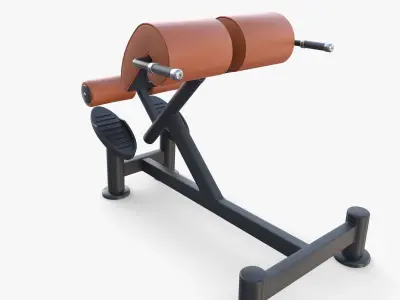 Hyperextension bench 3D model
