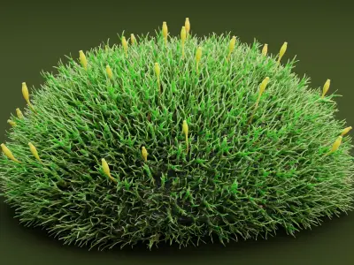 Moss V2 Low-poly 3D model