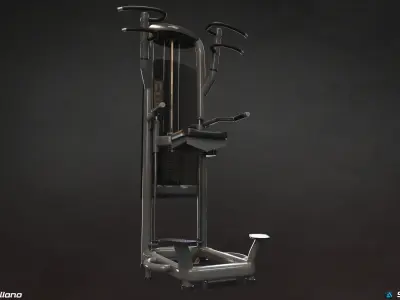 Gym Machine - Matrix Dip-Chin Assist Machine 3D model