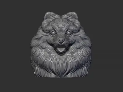 Pomeranian head 3D print model