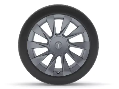 Tesla Car Tire 3D model