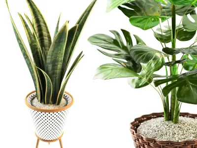 plant collection set 02  3D model