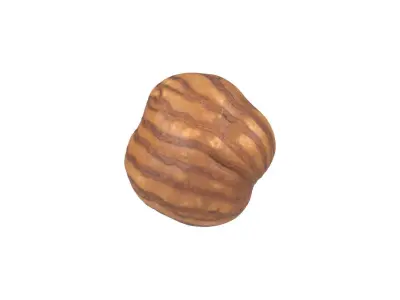 Photorealistic Hazelnut Kernel 3D Scan 2 3D model