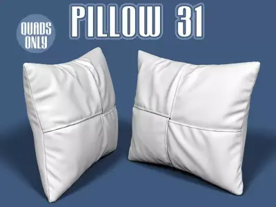 Pillow 31 3D model