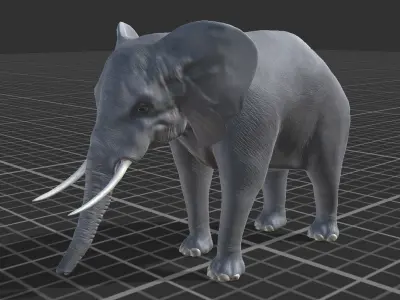 African elephant Low-poly 3D model 2