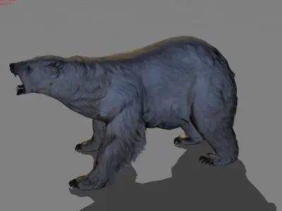 Polar Bear Animal Low-poly 3D model