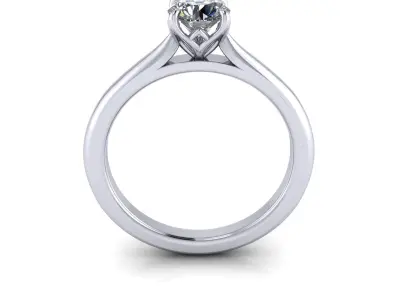 Precious Wedding Ring 3D print model
