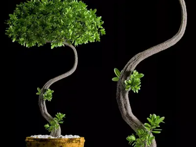 miniature plant 146 3D model