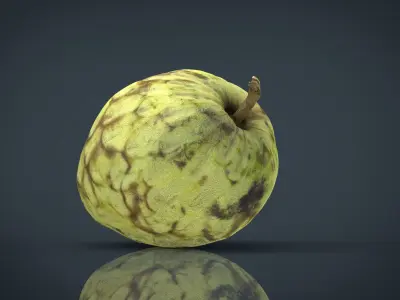 Custard Apple Low-poly 3D model