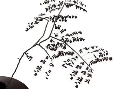 Decorative set with Audo Pavot vase and acacia branch 3D model