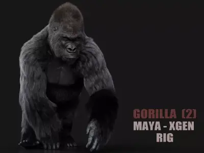 Gorilla 2 RIG XGEN CORE 3D model