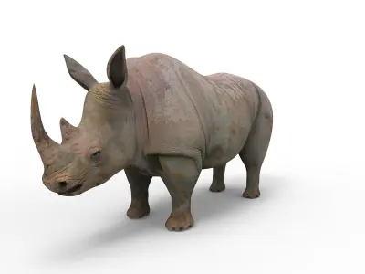 Rhino 3D Models game ready  Low-poly 3D model