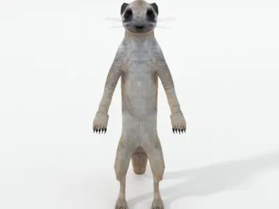 Meerkat Low-poly 3D model