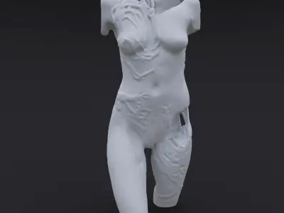 Carved Body 3D model