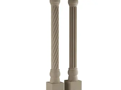 Column two columns 3D model