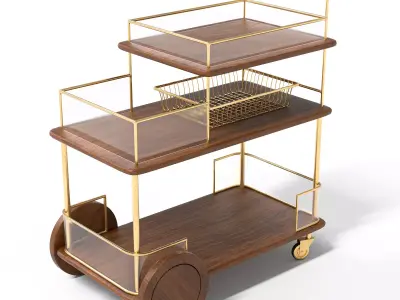 Modern luxe bar cart with gold frame and wooden shelves 3D model